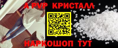прущие грибы Будённовск