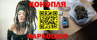прущие грибы Будённовск