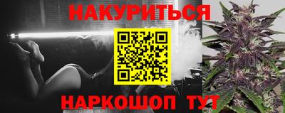 прущие грибы Будённовск