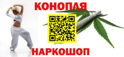 прущие грибы Будённовск