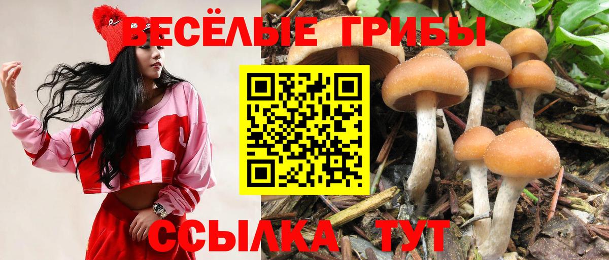 Галлюциногенные грибы Psilocybe  Вход с VPN  Галлюциногенные грибы Magic Shrooms  Мариинск 