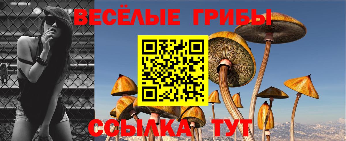 Галлюциногенные грибы Psilocybe Мариинск